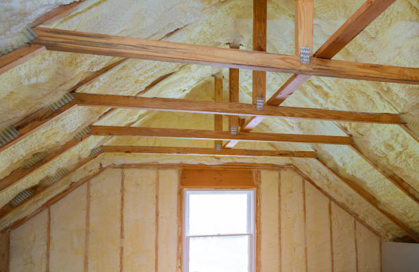 Best Sustainability and Green Building in Canton, IL