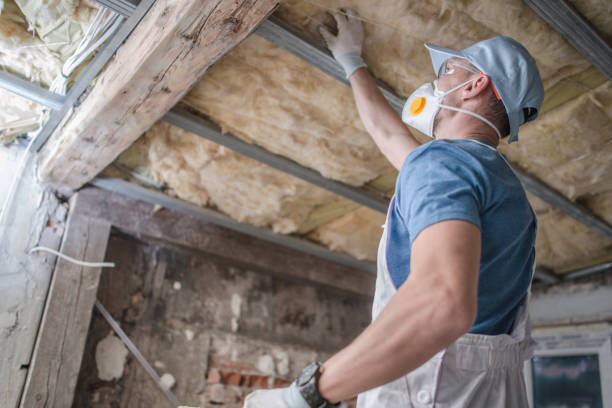 Best Commercial Insulation in Canton, IL